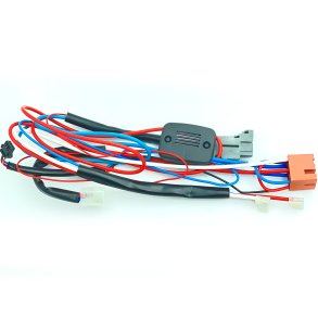 Ledningsnet Ranger RZR