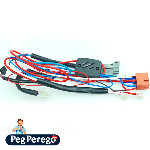 Ledningsnet Ranger RZR